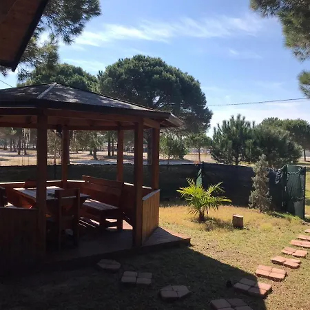 Dom wakacyjny Gjiri Lalzit Durrës