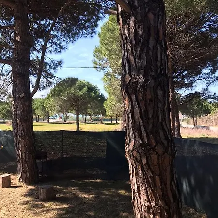 Dom wakacyjny Gjiri Lalzit Durrës