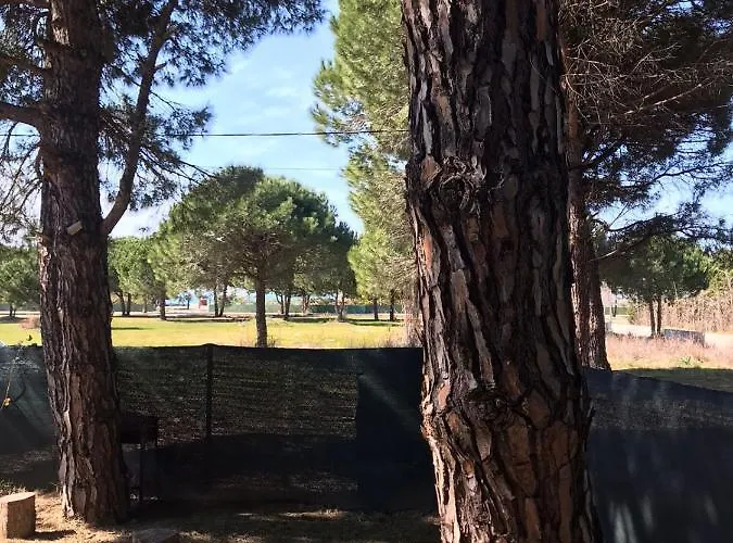 Tatil Evi Gjiri Lalzit Dıraç